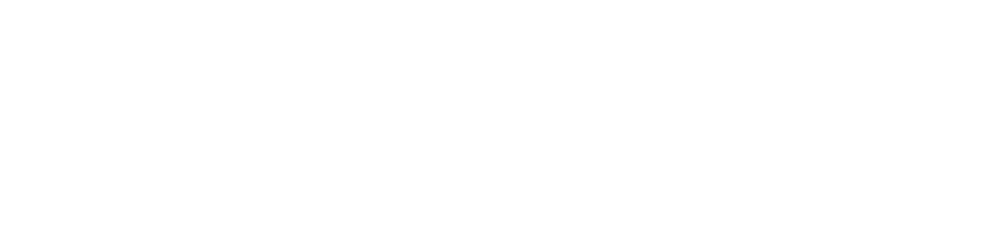 Haley Strader Logo White